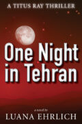 One Night in Tehran (Titus Ray Thriller Series, #1) cover