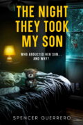 THE NIGHT THEY TOOK MY SON cover