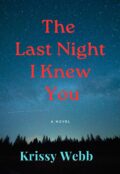 The Last Night I Knew You cover