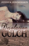 Desolation Gulch cover