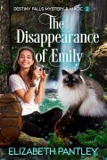 The Disappearance of Emily (Destiny Falls Mystery & Magic #2) cover